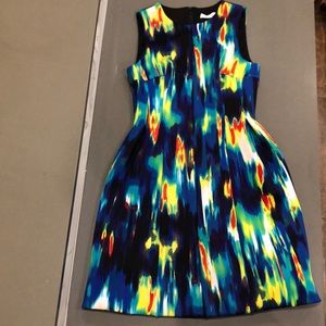 Fit and Flare Calvin Klein dress